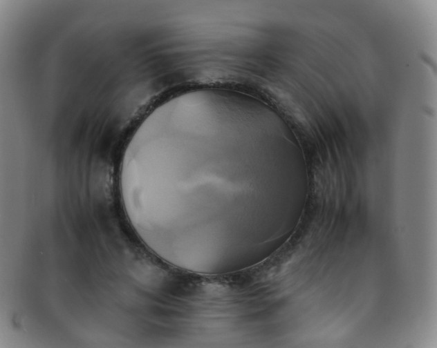X0000091500592200708231446