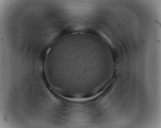 X0000091500593200708231446