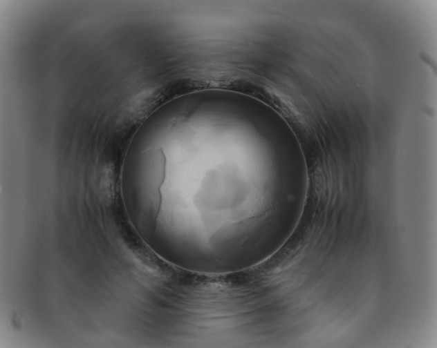 X0000091500594200708231446
