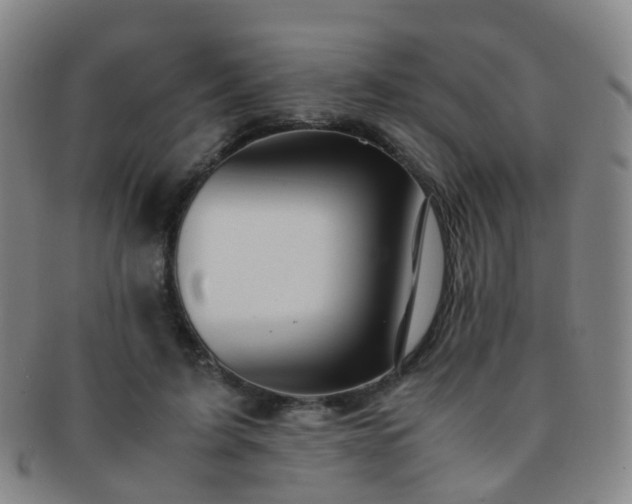 X0000091500595200708231446
