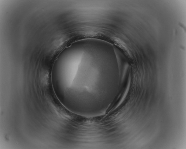 X0000091500596200708231446