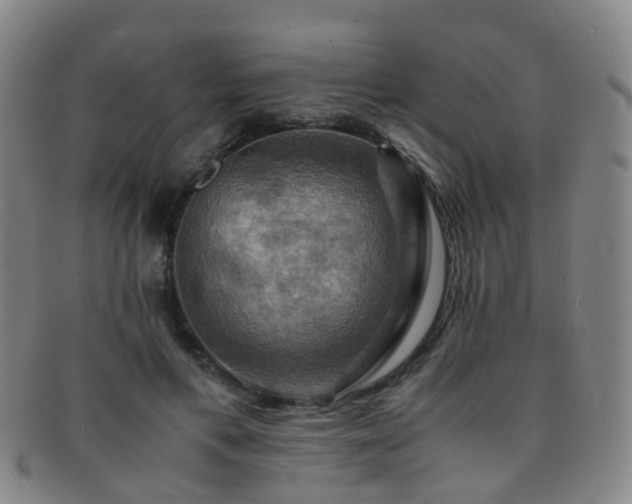 X0000091500597200708231446