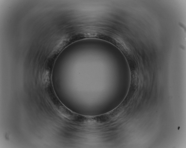 X0000091500598200708231446
