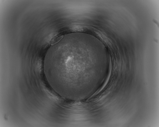 X0000091500600200708231446