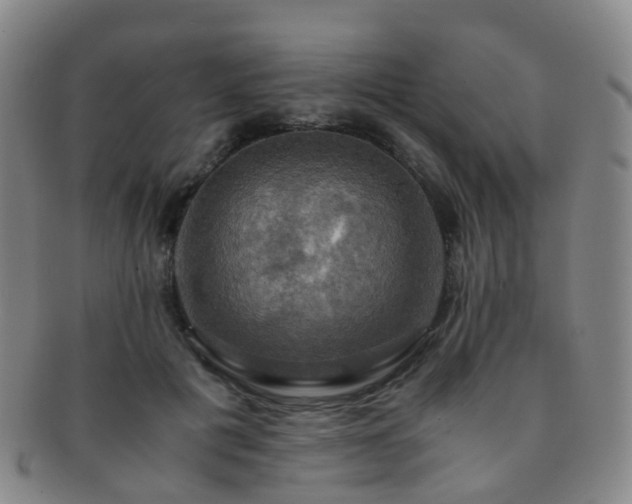 X0000091500601200708231446