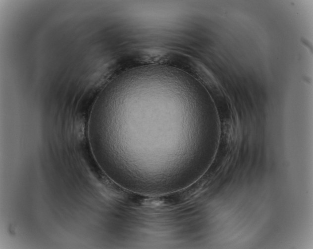 X0000091500602200708231446