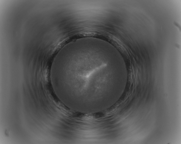 X0000091500604200708231446