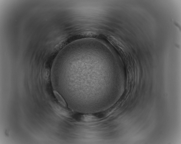 X0000091500605200708231446