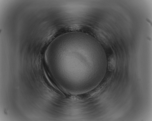 X0000091500608200708231446