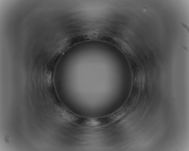 X0000091500610200708231446