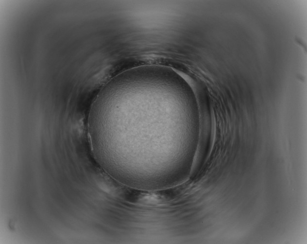 X0000091500611200708231446