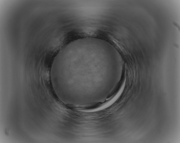 X0000091500613200708231446