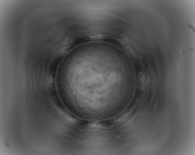 X0000091500614200708231446