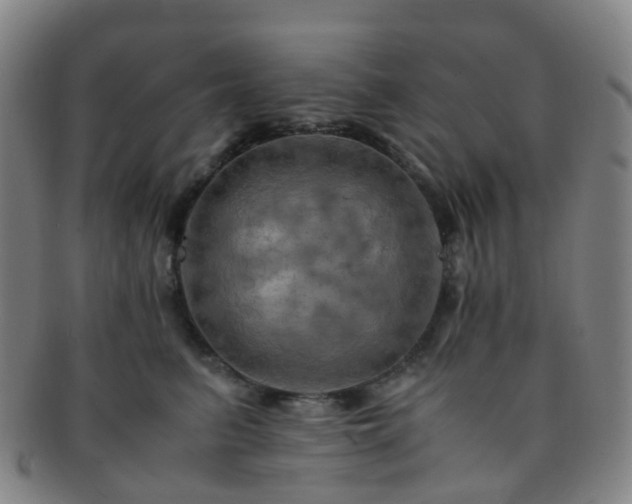X0000091500615200708231446