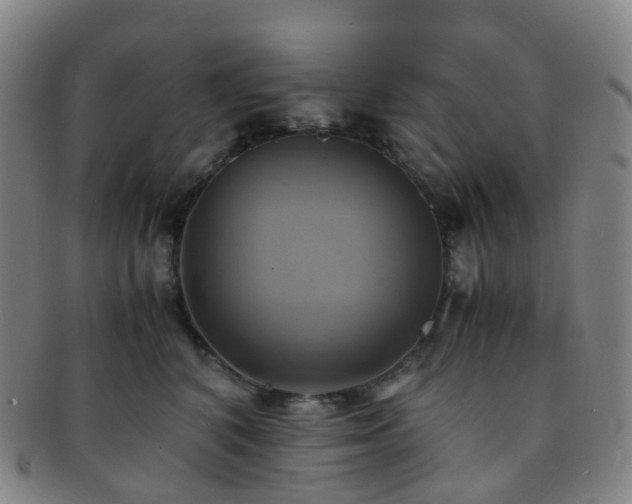 X0000091500616200708231446