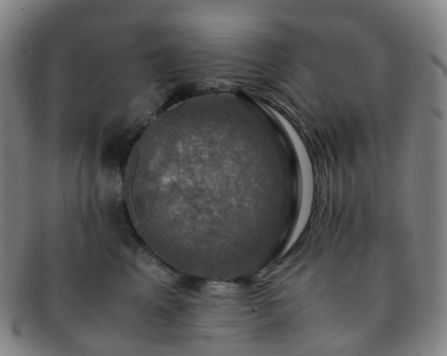 X0000091500617200708231446