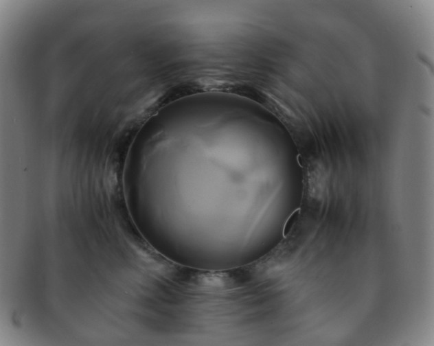 X0000091500618200708231446