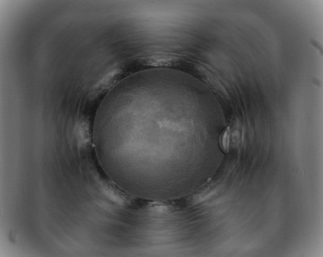 X0000091500620200708231446