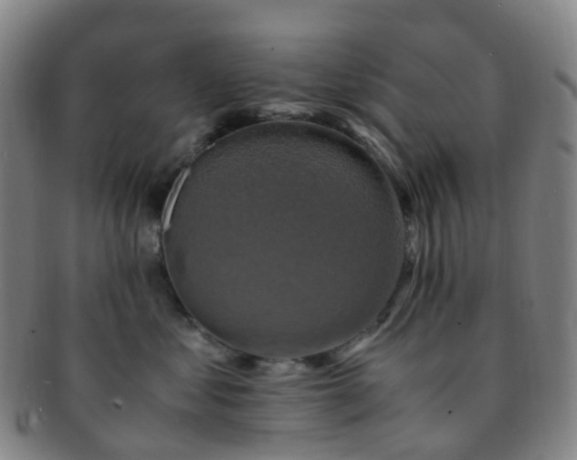 X0000091500621200708231446