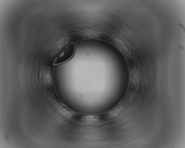 X0000091500622200708231446