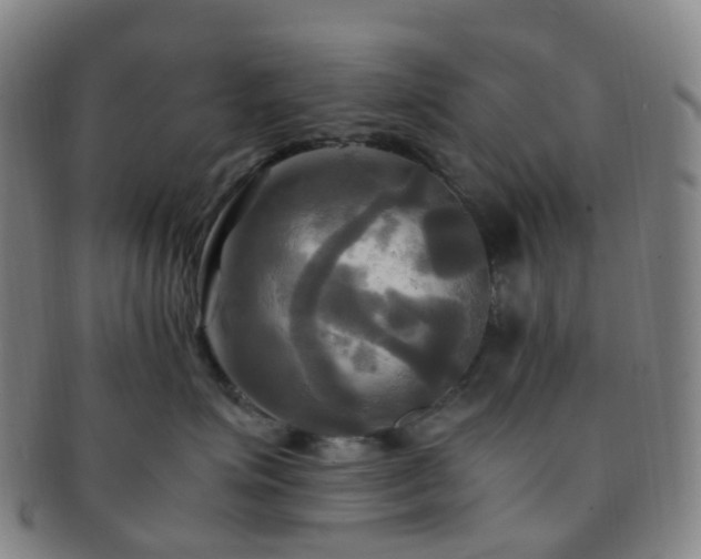 X0000091500623200708231446