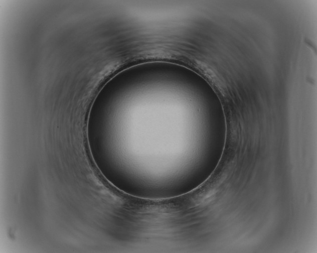 X0000091500625200708231445