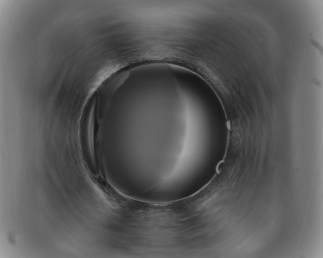 X0000091500626200708231445