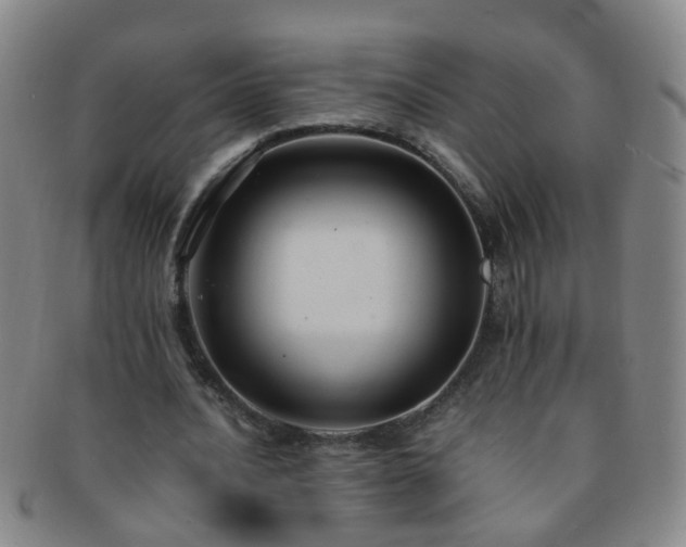 X0000091500628200708231445