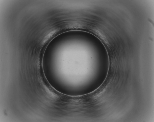X0000091500629200708231445
