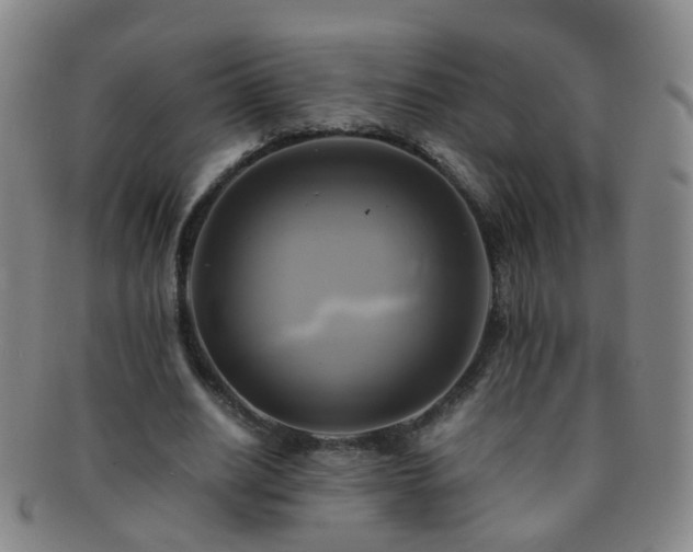 X0000091500630200708231445