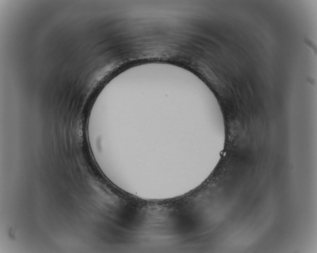 X0000091500632200708231445