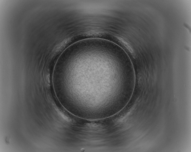 X0000091500633200708231445