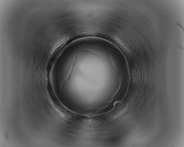 X0000091500634200708231445
