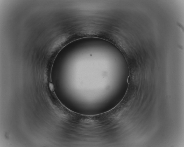 X0000091500635200708231445