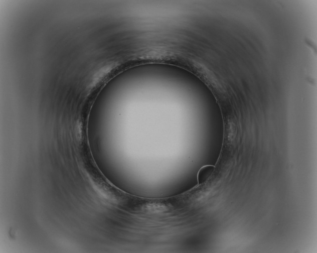 X0000091500636200708231445