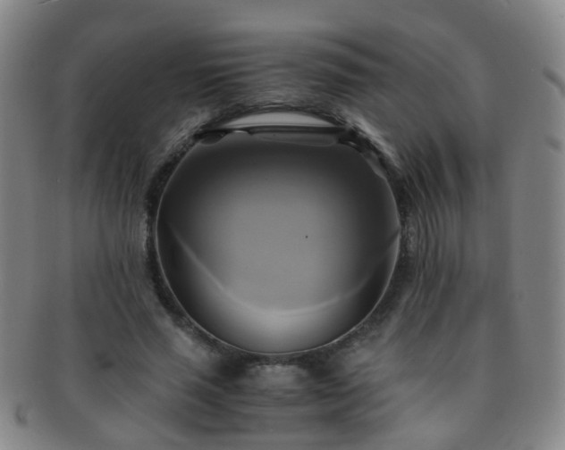 X0000091500637200708231445