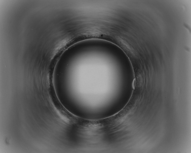 X0000091500638200708231445