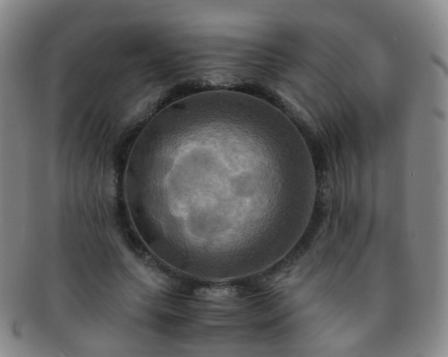 X0000091500639200708231445