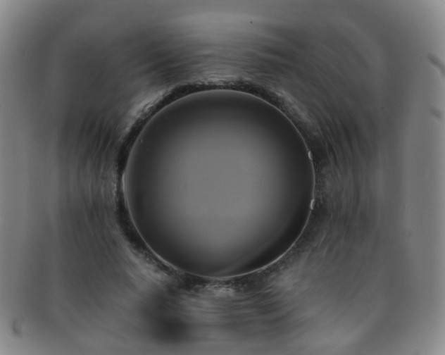 X0000091500640200708231445