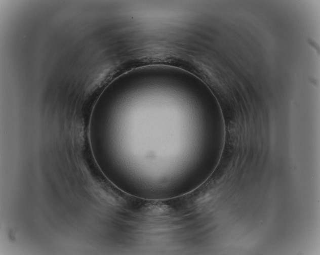 X0000091500642200708231445