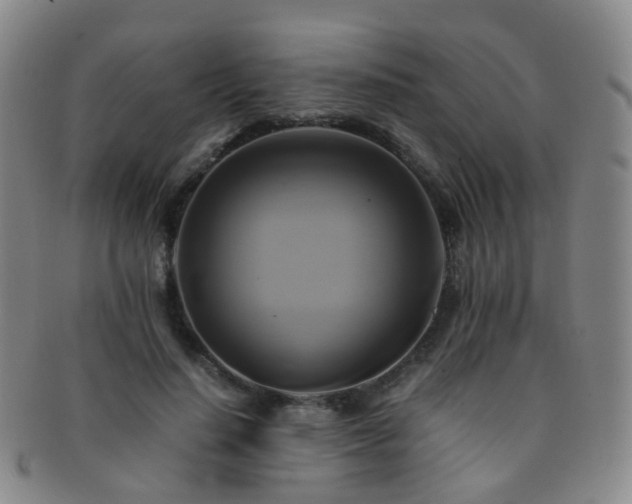 X0000091500644200708231445