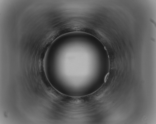 X0000091500646200708231445
