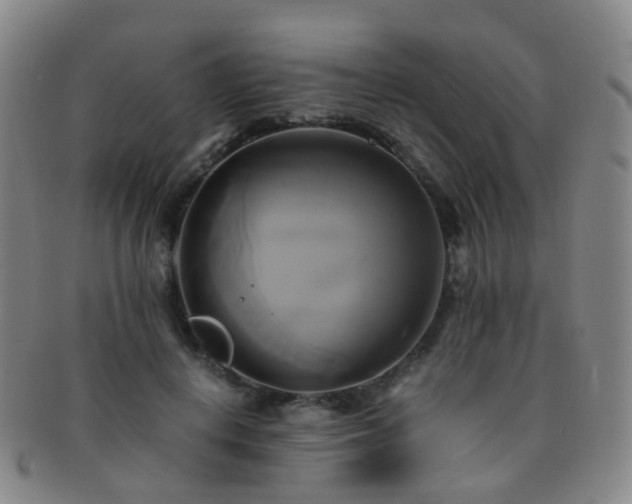 X0000091500648200708231445