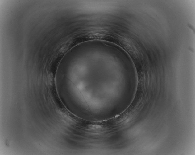 X0000091500649200708231445