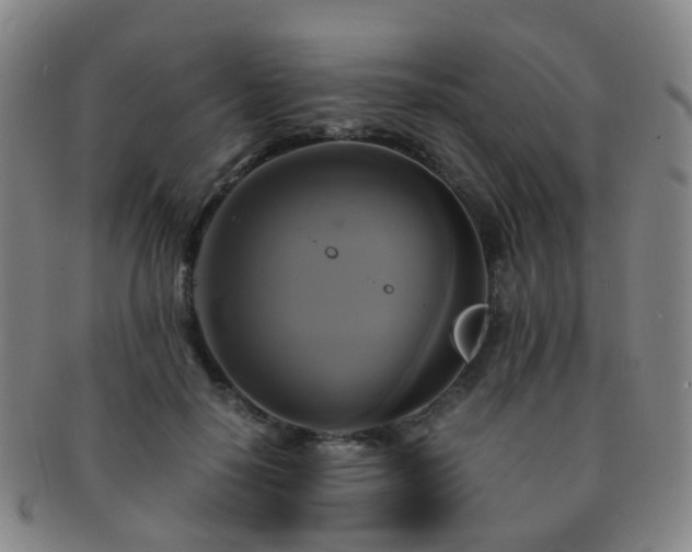 X0000091500650200708231445