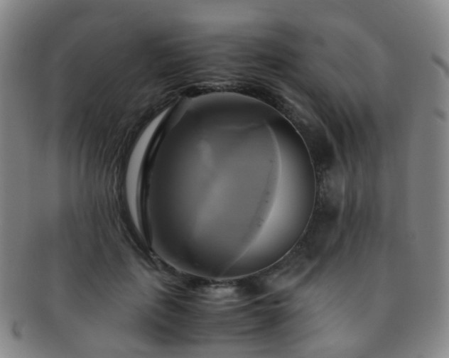 X0000091500651200708231445
