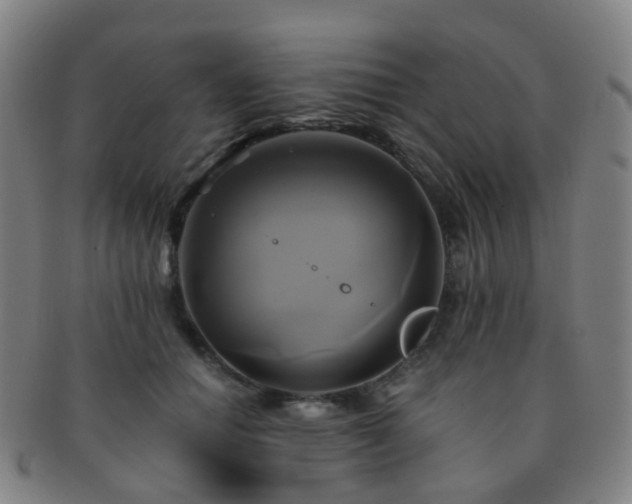 X0000091500654200708231445