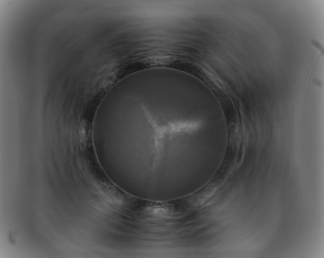 X0000091500655200708231445
