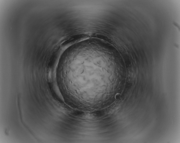 X0000091500656200708231445