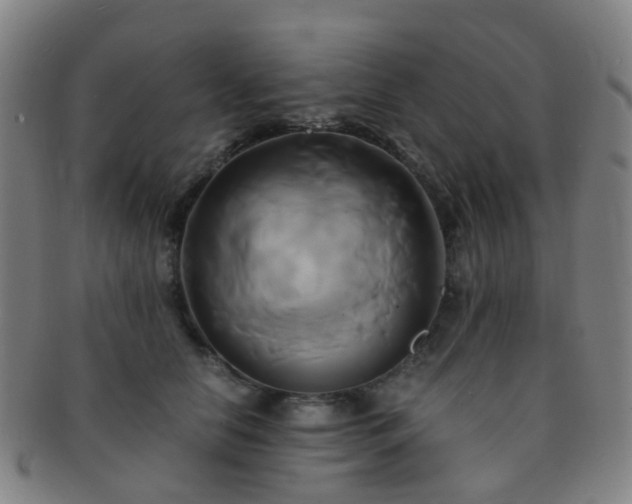 X0000091500658200708231445